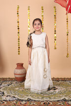 Ivory Check lehenga Set