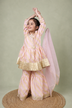 PASTEL DESIGNER BORDER SHARARA SET
