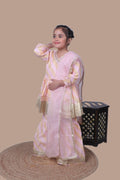 PASTEL DESIGNER BORDER SHARARA SET