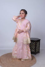 PASTEL DESIGNER BORDER SHARARA SET