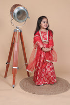 LITTLE MAHARANI BRPCADE LEHENGA