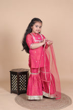 Pink Shimmir Sharara Set