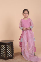 ELEGANT FARSHI SALWAR SET