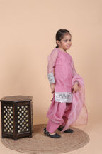 ELEGANT FARSHI SALWAR SET