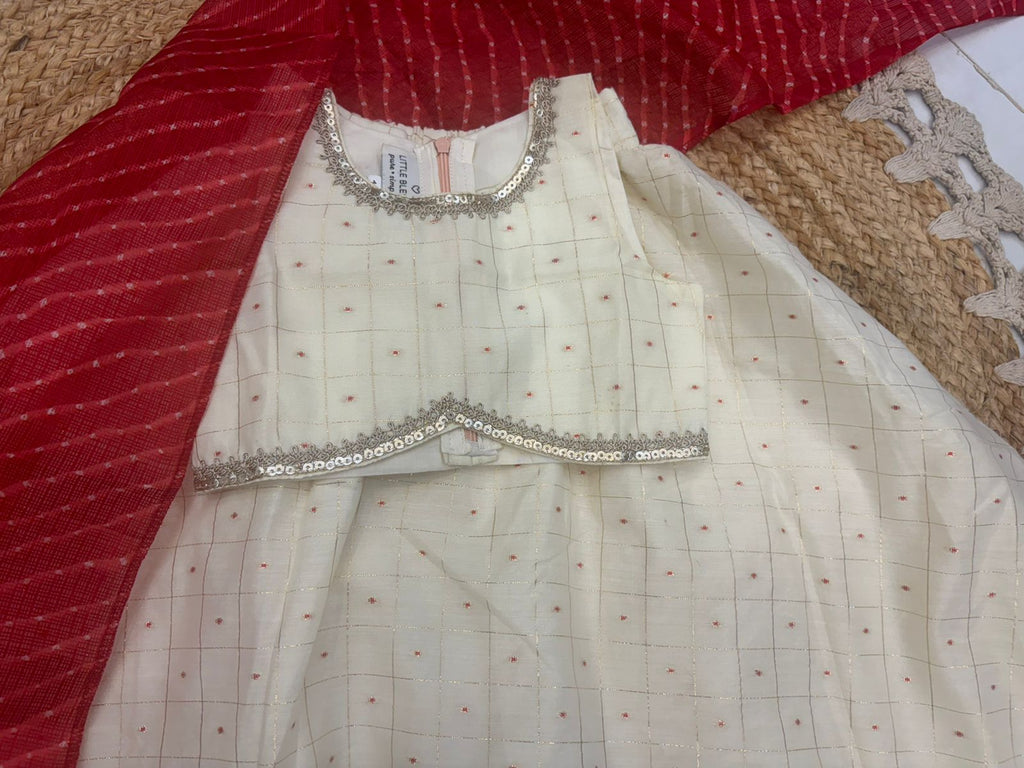 Ivory Check lehenga Set