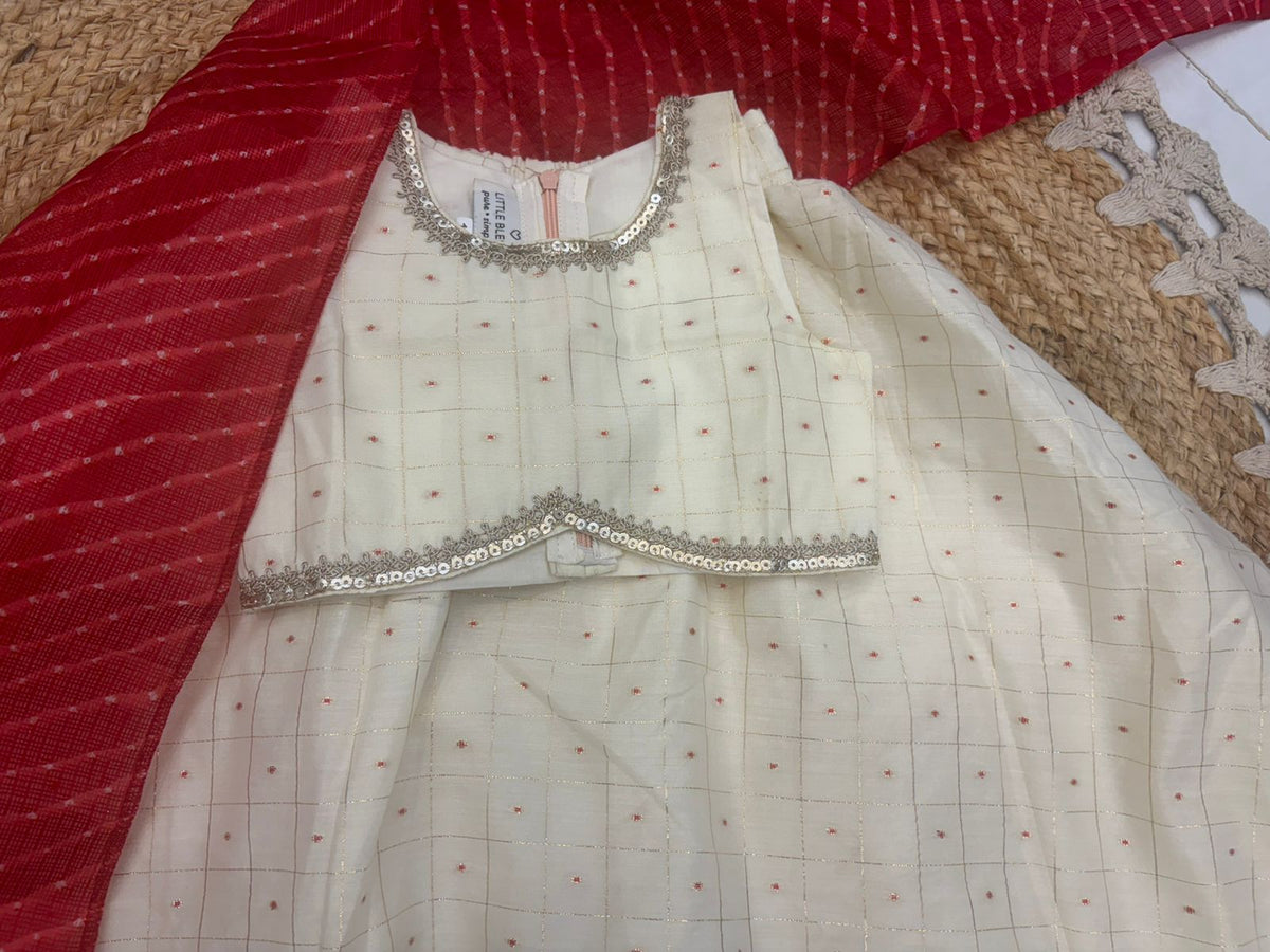 Ivory Check lehenga Set